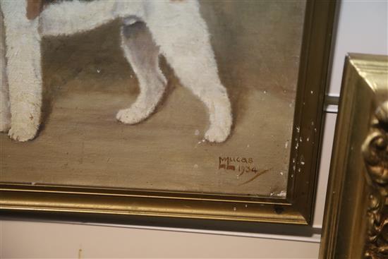 William Lucas Lucas (20th century) Ch. Tanyard Thriller - Wire Haired Fox Terrier 11.5 x 13.5in.